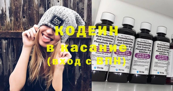 шишки Армянск