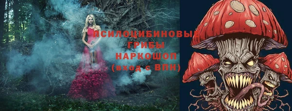 хмурый Арсеньев