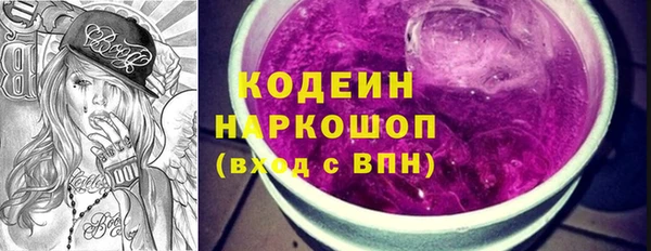 хмурый Арсеньев