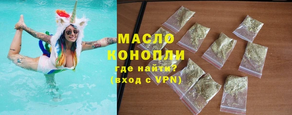 хмурый Арсеньев
